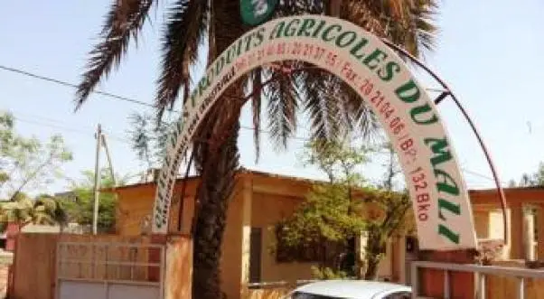 Vérification de performance de l’Office des produits agricoles du Mali : D’importantes faiblesses constatées la gestion de l’OPAM